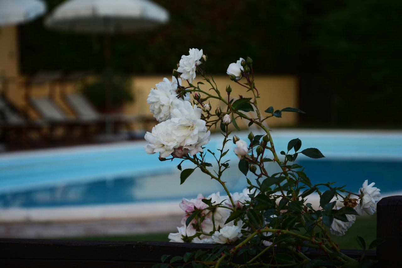 Il Poggiolo Di Parrano Guest House Exterior photo